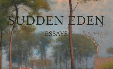 Personal essays examples picture